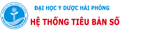 Tiêu Bản Số